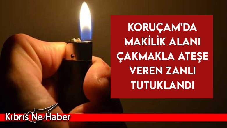 Koruçam’da makilik alanı çakmakla ateşe veren zanlı tutuklandı