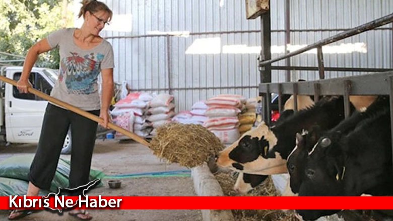 İngiltere’de yöneticiydi, aşkı için Türkiye’de hayvancılık yapmaya başladı