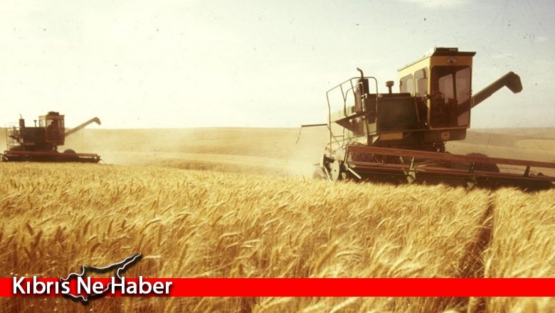 Güney’deki tahıl rezervi azalıyor, stratejik rezerv yok, hayvancı yem bulamıyor