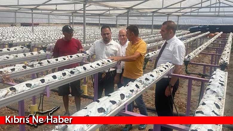 Tarım Bakanı Çavuş, Lefke bölgesindeki üreticileri ziyaret etti