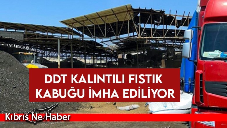 DDT kalıntılı fıstık kabuğu imha ediliyor