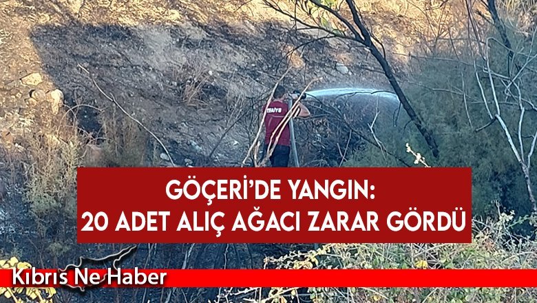 Göçeri’de Yangın: 20 Adet Alıç Ağacı Zarar Gördü