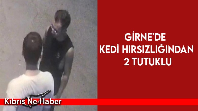 Girne'de kedi hırsızlığından 2 tutuklu