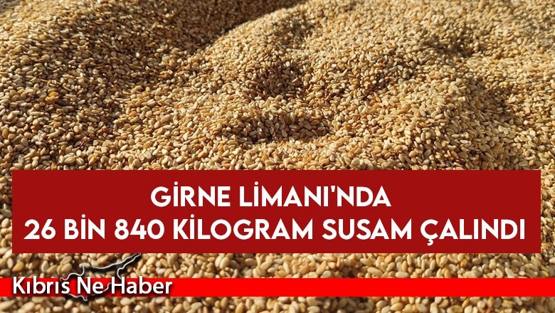 Girne Limanı'nda 26 bin 840 kilogram Susam Çalındı