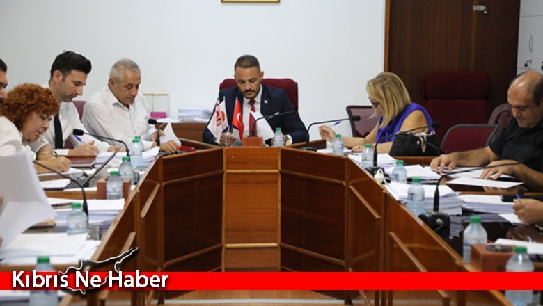 Cumhuriyet Meclisi, İdari, Kamu ve Sağlık İşleri Komitesi toplandı
