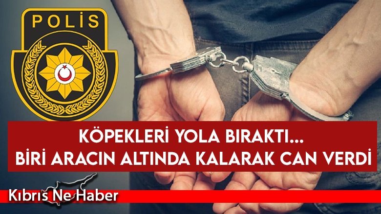 Köpekleri yola bıraktı... Biri aracın altında kalarak can verdi