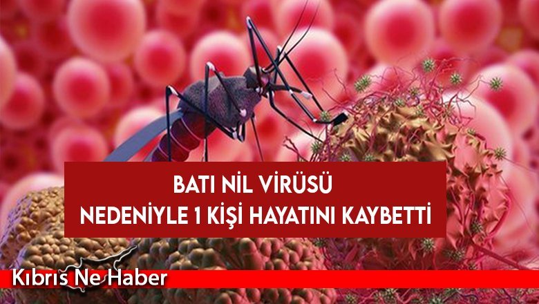 Sağlık Bakanlığı Açıkladı! Batı Nil Virüsü nedeniyle 1 kişi hayatını kaybetti