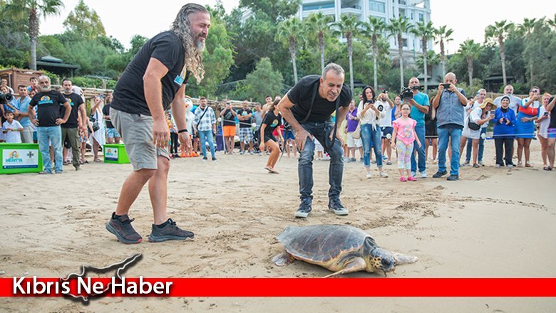 Haluk Levent’in katılımıyla üç deniz kaplumbağası yeniden denizle buluştu