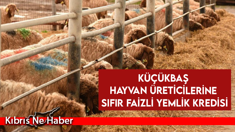 Küçükbaş hayvan üreticilerine sıfır faizli yemlik kredisi