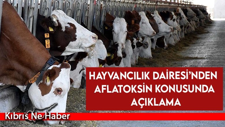 Hayvancılık Dairesi’nden aflatoksin konusunda açıklama