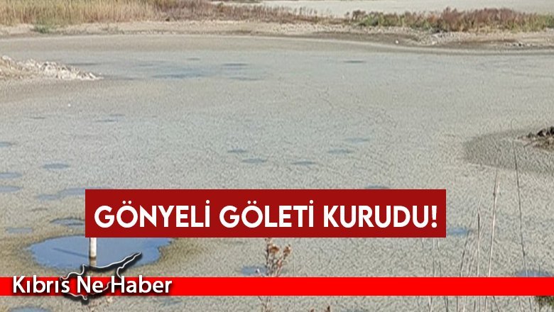 Gönyeli Göleti kurudu!