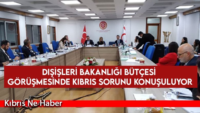 Dışişleri Bakanlığı bütçesi görüşmesinde Kıbrıs sorunu konuşuluyor