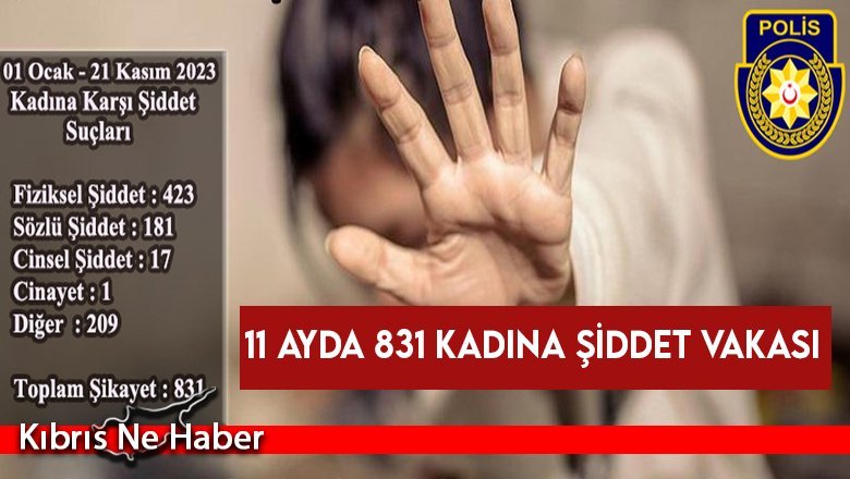 11 Ayda 1’i Cinayet, 423’ü Fiziksel, 181’i Sözlü, 17’si Cinsel Şiddet