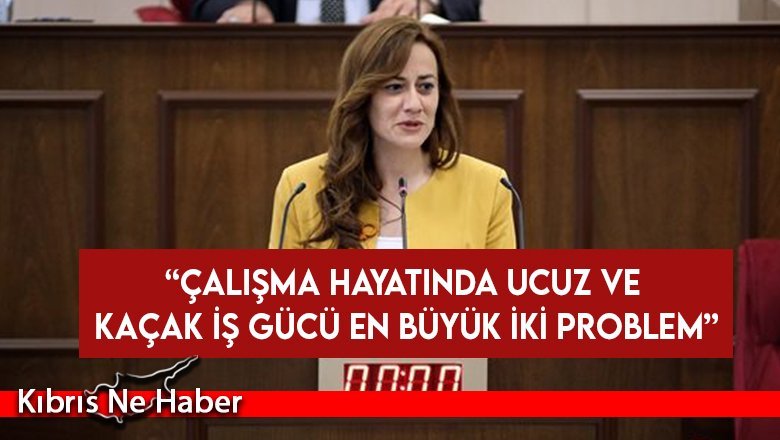 “Çalışma hayatında ucuz ve kaçak iş gücü en büyük iki problem”