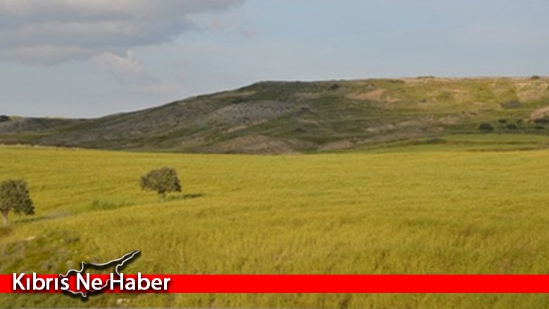Alaniçi köyünde 'Tahıl Alanlarında Görülen Hastalık ve Zararlıları' konulu eğitim düzenlenecek
