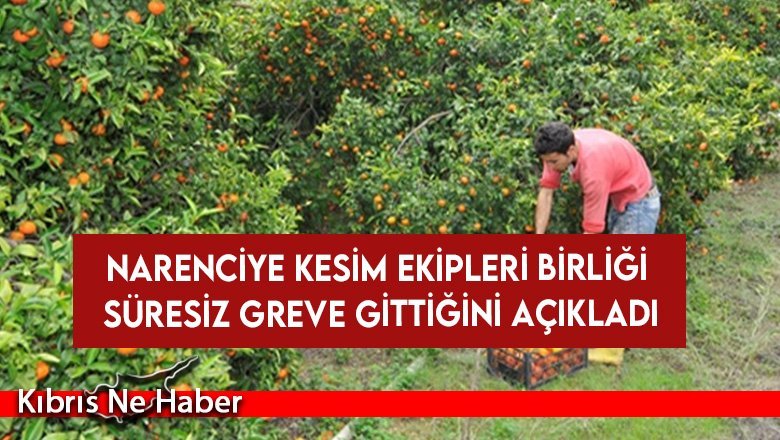 Narenciye Kesim Ekipleri Birliği süresiz greve gittiğini açıkladı