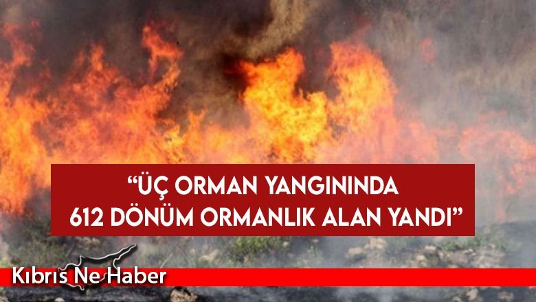 2023'te 544 yangın meydana geldi
