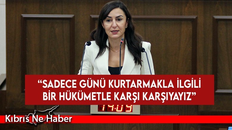 Rogers: Sadece günü kurtarmakla ilgili bir hükümetle karşı karşıyayız