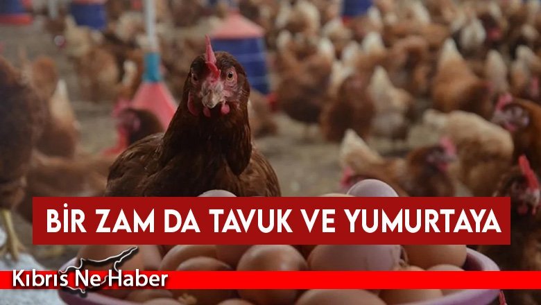Bir zam da tavuk ve yumurtaya geldi...
