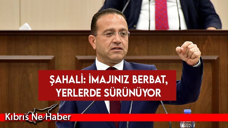 Şahali: Kamu İhale Yasası'na fesat karıştırıldı