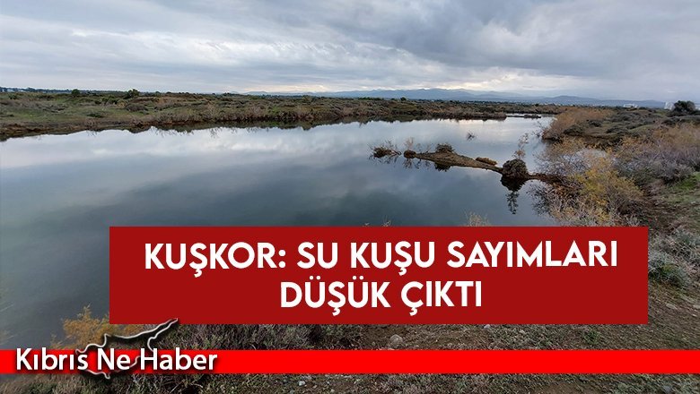 KUŞKOR: Su kuşu sayımları düşük çıktı