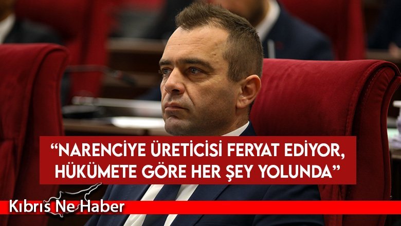 Şahiner: Narenciyede çözülen sorun yok...