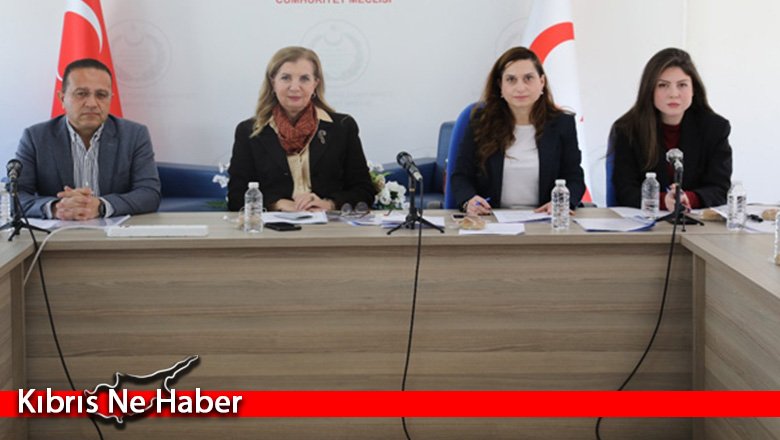 Gümrük Vergileri Tarife (Değişiklik) Yasa Tasarısı Komitede görüşüldü
