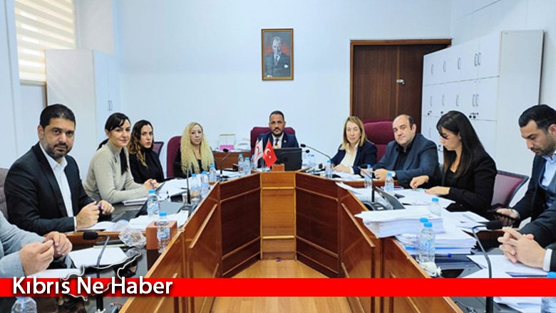 Cumhuriyet Meclisi, İdari, Kamu ve Sağlık İşleri Komitesi toplandı