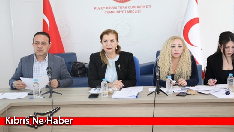 Meclis Ekonomi, Maliye, Bütçe ve Plan Komitesi toplandı