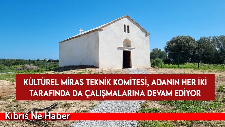 Kültürel Miras Teknik Komitesi, adanın her iki tarafında da çalışmalarına devam ediyor