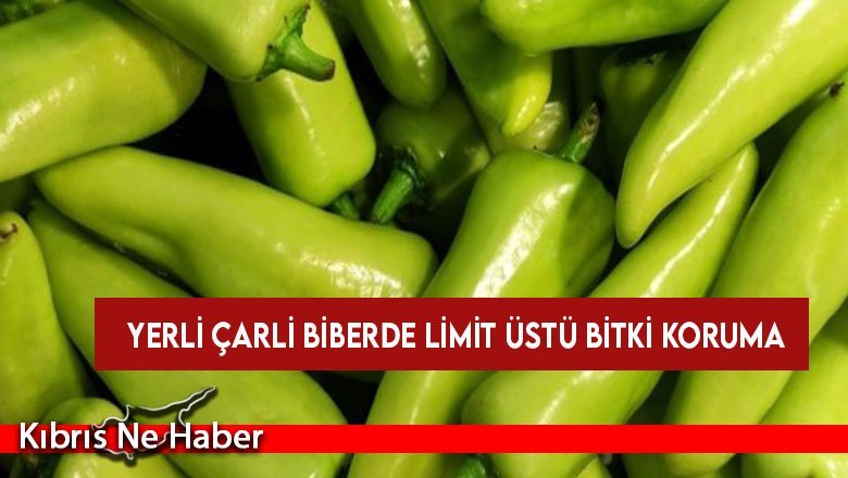 İthal 3 elma türünde ve 1 yerli üründe limit üstü bitki koruma ürünü saptandı