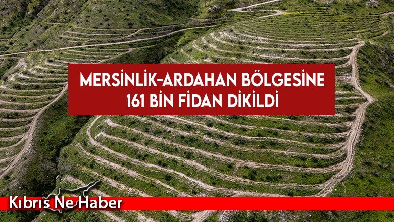 Mersinlik-Ardahan bölgesine 161 bin fidan dikildi