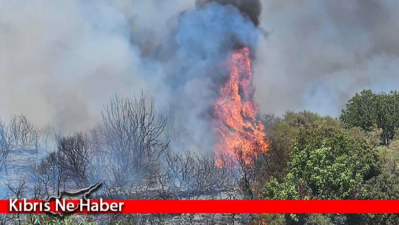 Güney’de yangın sezonuna hazırlık: Otlar temizlenecek, cezalar artırılacak ve uçak tamiri için çalışmalar başladı