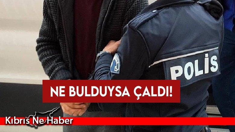 Bina, dükkan ve ev soydu