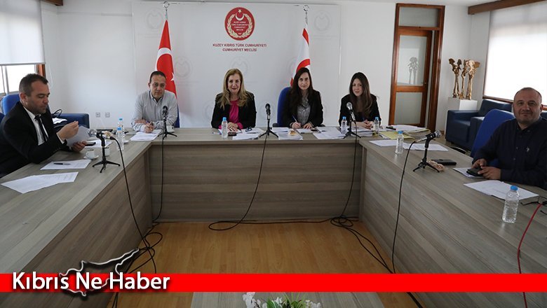 Cumhuriyet Meclisi Ekonomi, Maliye, Bütçe ve Plan Komitesi bugün toplandı