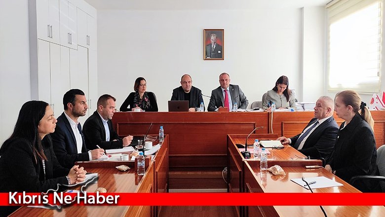 İstatistik Kurumu verileriyle ilgili araştırma komitesi toplandı