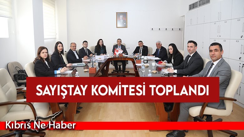 Sayıştay komitesi toplandı