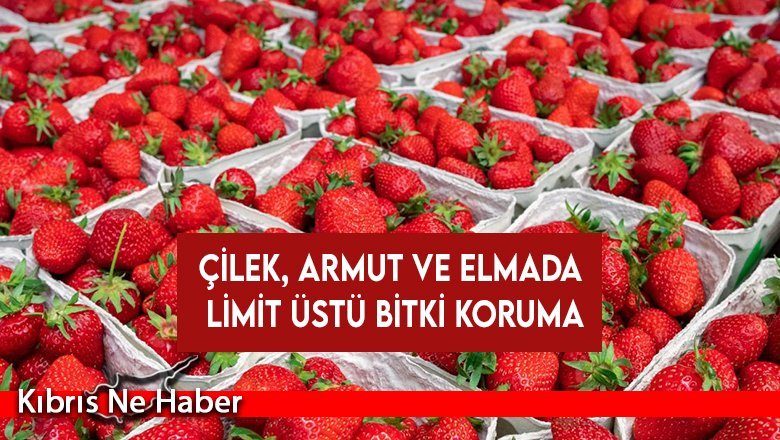 Çilek, armut ve elmada limit üstü bitki koruma