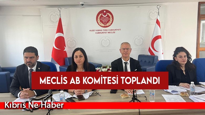 Meclis AB Komitesi toplandı