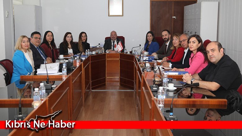Yükseköğrenim kurumları ve YÖDAK'la ilgili Meclis araştırma komitesi YÖDAK Başkanı Hocanın'ı dinledi