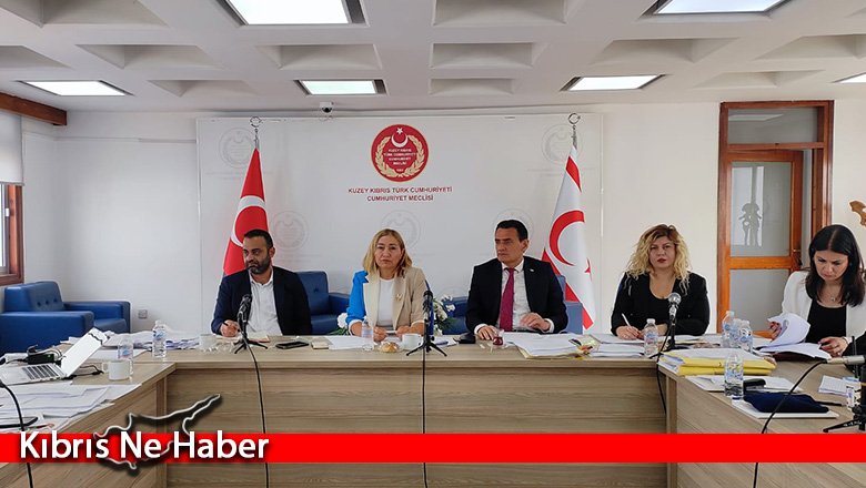 “Taşınmaz Mal Edinme ve Uzun Vadeli Kiralama (Yabancılar) (Değişiklik) Yasa Tasarısı” komitede...