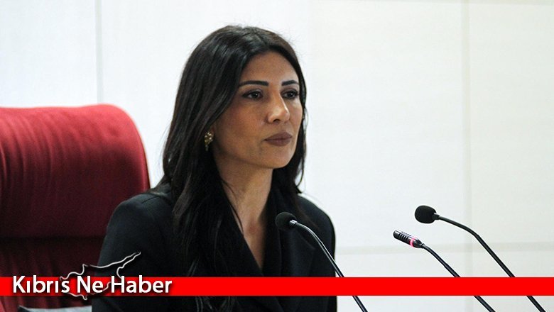 Özdenefe: “Cumhurbaşkanı ve Meclis Başkanının eş zamanlı ülke dışında bulunması hukukla ve devlet ciddiyeti ile bağdaşmıyor”