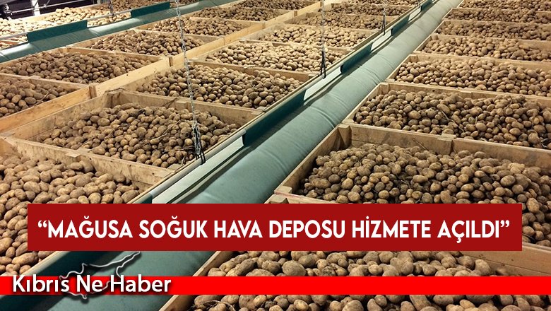 TÜK’ten patates üreticilerine duyuru: “Mağusa Soğuk Hava Deposu hizmete açıldı”