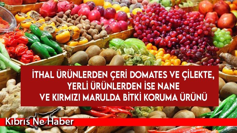 İthal ürünlerden çeri domates ve çilekte, yerli ürünlerden ise nane ve kırmızı marulda bitki koruma ürünü
