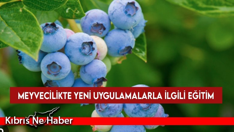 Meyvecilikte yeni uygulamalarla ilgili eğitim