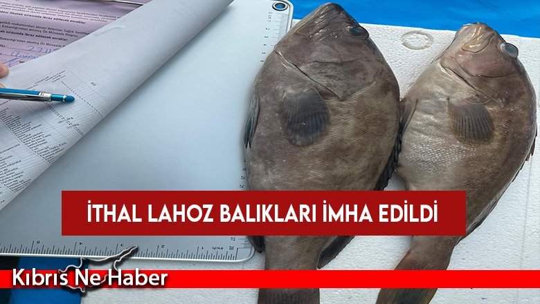 İthal Lahoz balıkları imha edildi