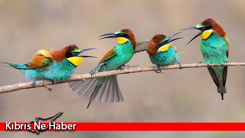 32’nci Devlet Fotoğraf Yarışması’nın sonuçları açıklandı