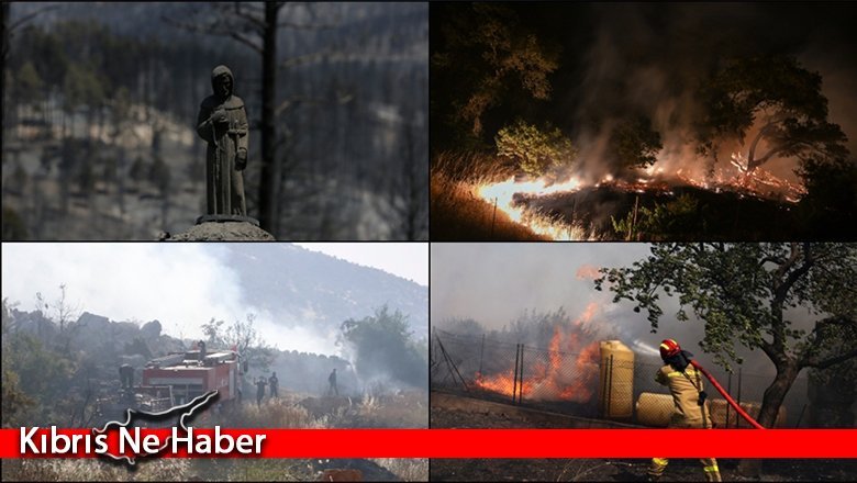 Dünya genelinde orman yangınları etkili oluyor