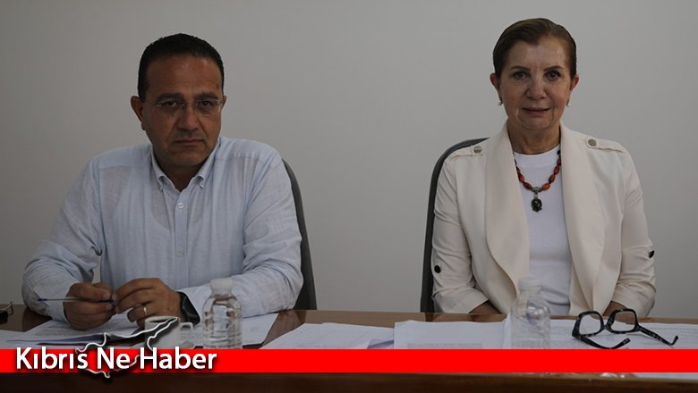 Muhasebe ve Denetim Meslek Yasası ve Serbest Liman ve Bölge Yasası tasarıları komitede ele alındı