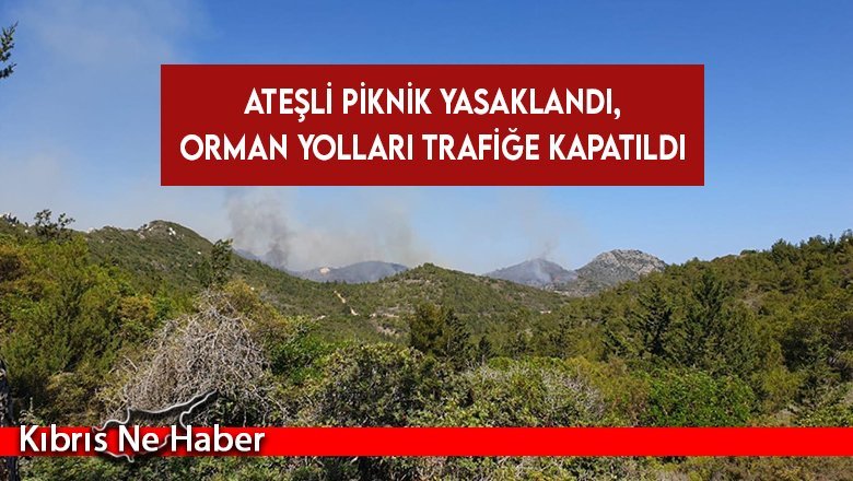 Yangınları önlemeye yönelik tedbirler alındı: Ateşli piknik yasaklandı, orman yolları trafiğe kapatıldı
